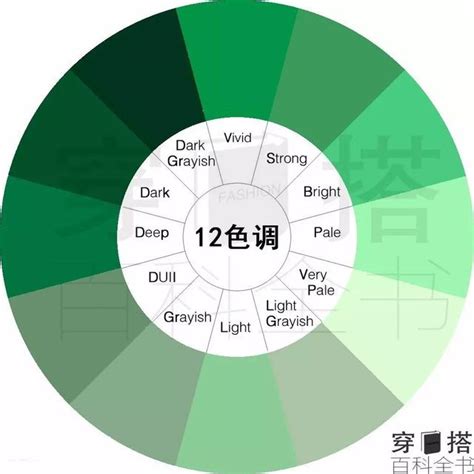 色彩學 綠色|【設計】色彩學懶人包：配色觀念、實務應用完整收錄